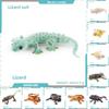 Realistic Reptile Lizard Chameleon Model With Assembleable Chameleon And Gecko Figures For Collectors And Kids