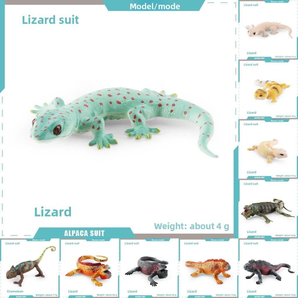 Realistic Reptile Lizard Chameleon Model With Assembleable Chameleon And Gecko Figures For Collectors And Kids