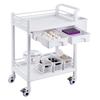 VEVOR Chariots de laboratoire à 2 niveaux, Chariot utilitaire de laboratoire avec 2 plateaux, 2 tiroirs et 4 roulettes silencieuses, Chariot médical mobile en matériau PP