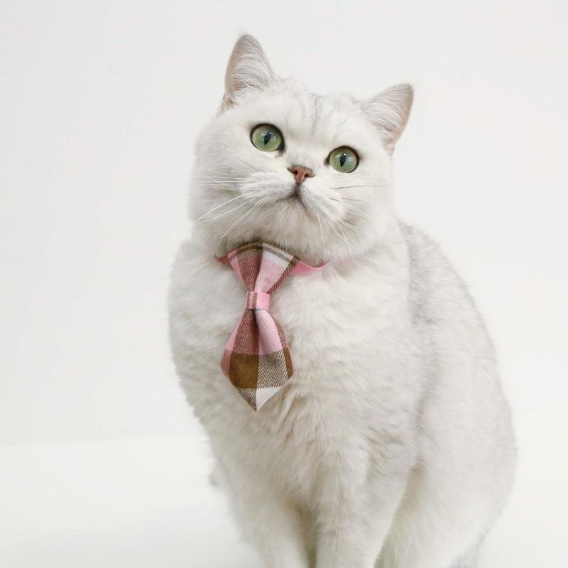 2PCS Adjustable Cat Collar Christmas Party Dogs BowTie Collar Pet Breakaway Necktie Collar Pet Festival Party Supplies