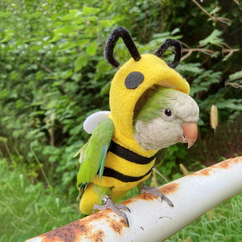 Bee Shape Parrot Winter Warm Hat Hooded Cloth Parrot Flying Suit Parrot Bee Shape Clothes  Autumn