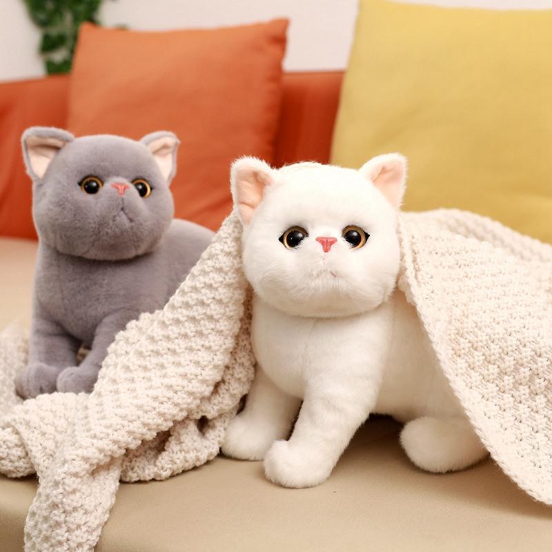 Simulazione Gatto Siamese Peluche Occhi Blu Con Paillettes Gatto Peluche Bambola Marrone E Bianco Faccia Ragdoll Peluche Gatto Decorazioni La Casa Giocattoli Bambole X251216 Da 4,31 € | DHgate