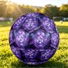 Personalized Size 5 Football Austria Wien FC Pattern Outdoor Game Sports Ball Gift