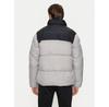 Kurtka zimowa 4F 4FWAW24TDJAM485, szara, krój standardowy