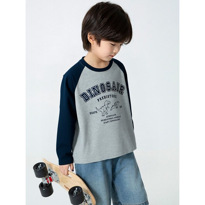 New Korean-Style Spring Tops for Older Children, Children's Clothing, Boys' Cartoon Dinosaur Long-Sleeve T-Shirt, Raglan Pure Cotton Base Shirt