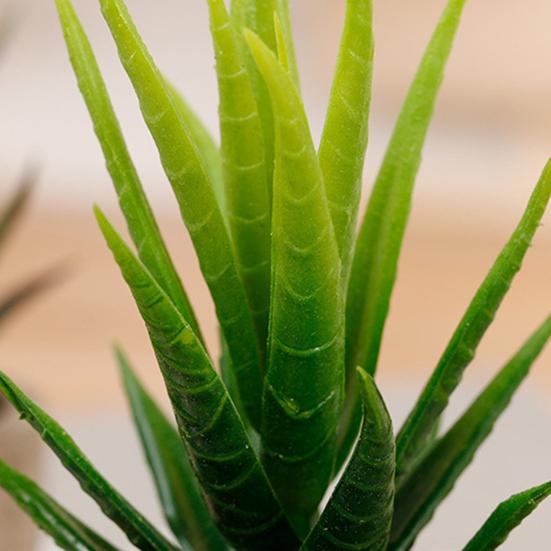 Fake Succulent Bonsai Nice-looking Ornamental Realistic Mini Artificial Succulent Plant Fake Flower Bonsai for Living Room