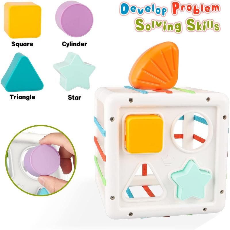 Montessori Toys Shape Sorter Baby Toys Birthday Gift Infant Toddler Toy Sensory Blocks Developmental Learning Fine Motor Skill