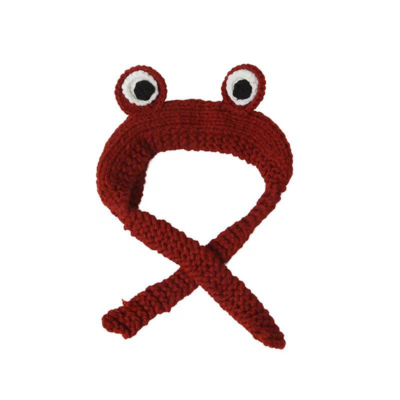Korean-Style Cute Frog Knit Hat with Ear Protection