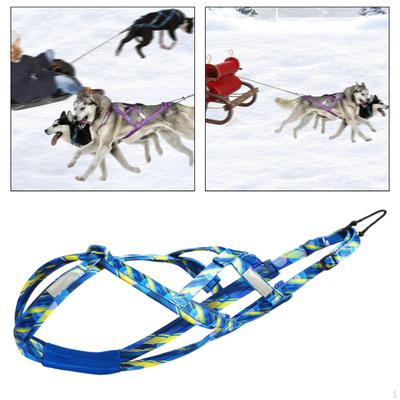 Arnês para cães mushing, Bikejoring de puxar, Trenó de treinamento de velocidade profissional