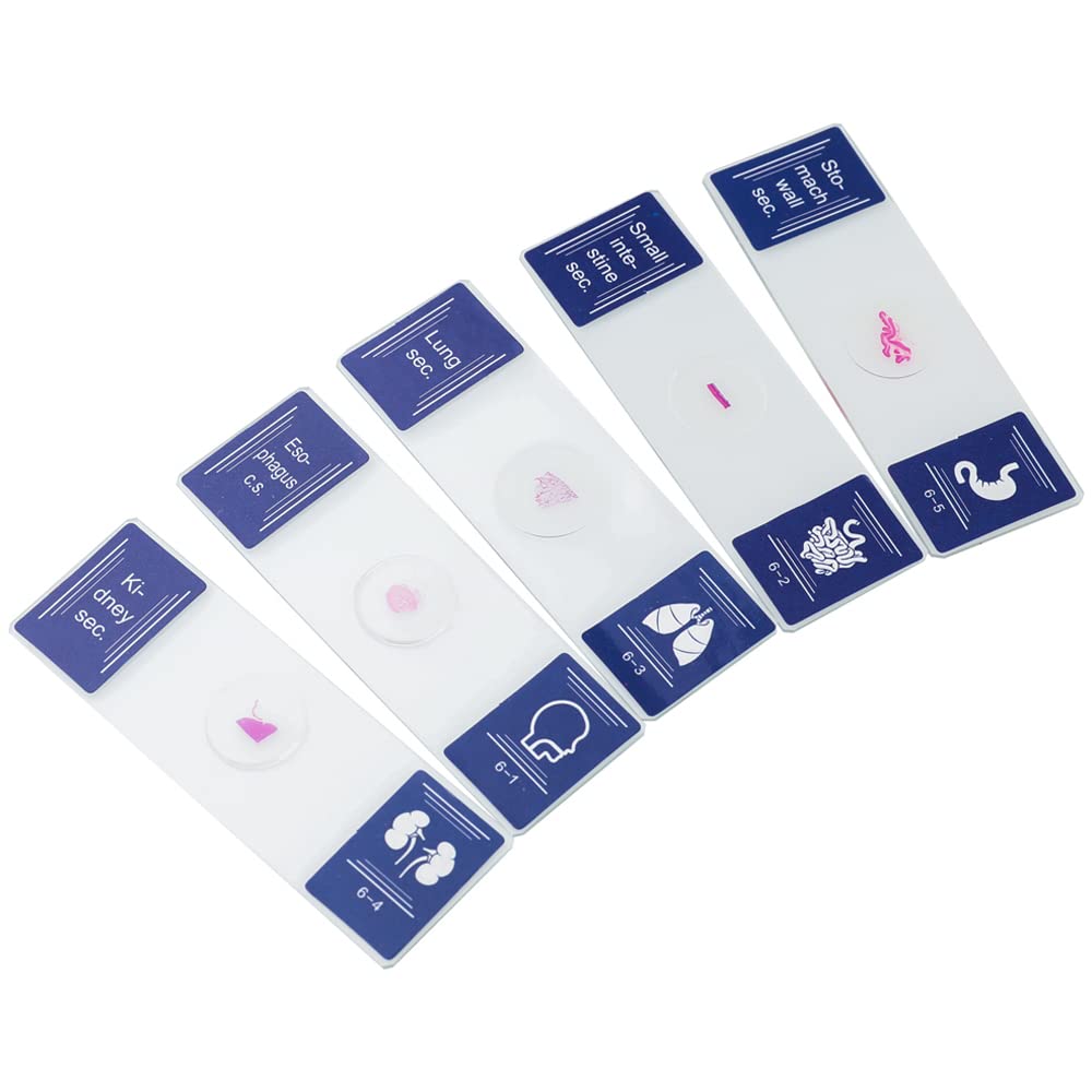 WOYUE Microscope Slides, 35 Colorful Biological Microscope Specimen Slides for Primary and Secondary Use, Gift