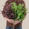 70cm Simulation Green Plant Elegant Fake Flower Artificial Loropetalum Branch  Outdoor Garden Decor