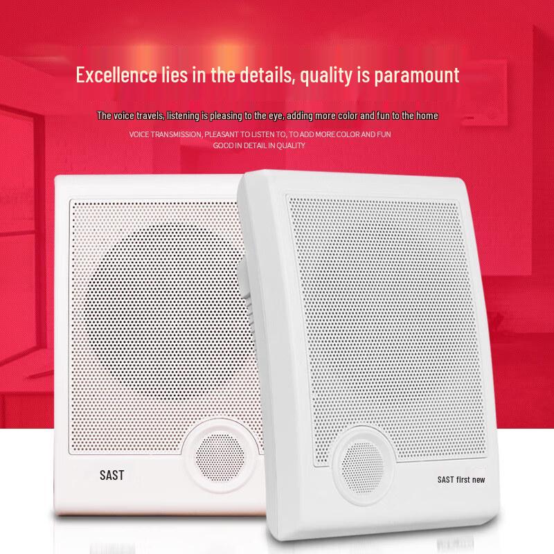 SAST Commercial Wall-Mounted Speaker CN plug (adapter included)