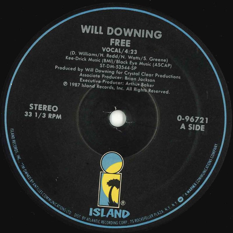 

12inch Record WILL DOWNING - Free 096721 ISLAND 1987 US Soul/Funk Used