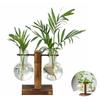 Hydroponic Plant Glass Vase, Modern Desktop Plant Terrarium Planter Bulb Water Planting Propagation Planters Hydroponics Plants