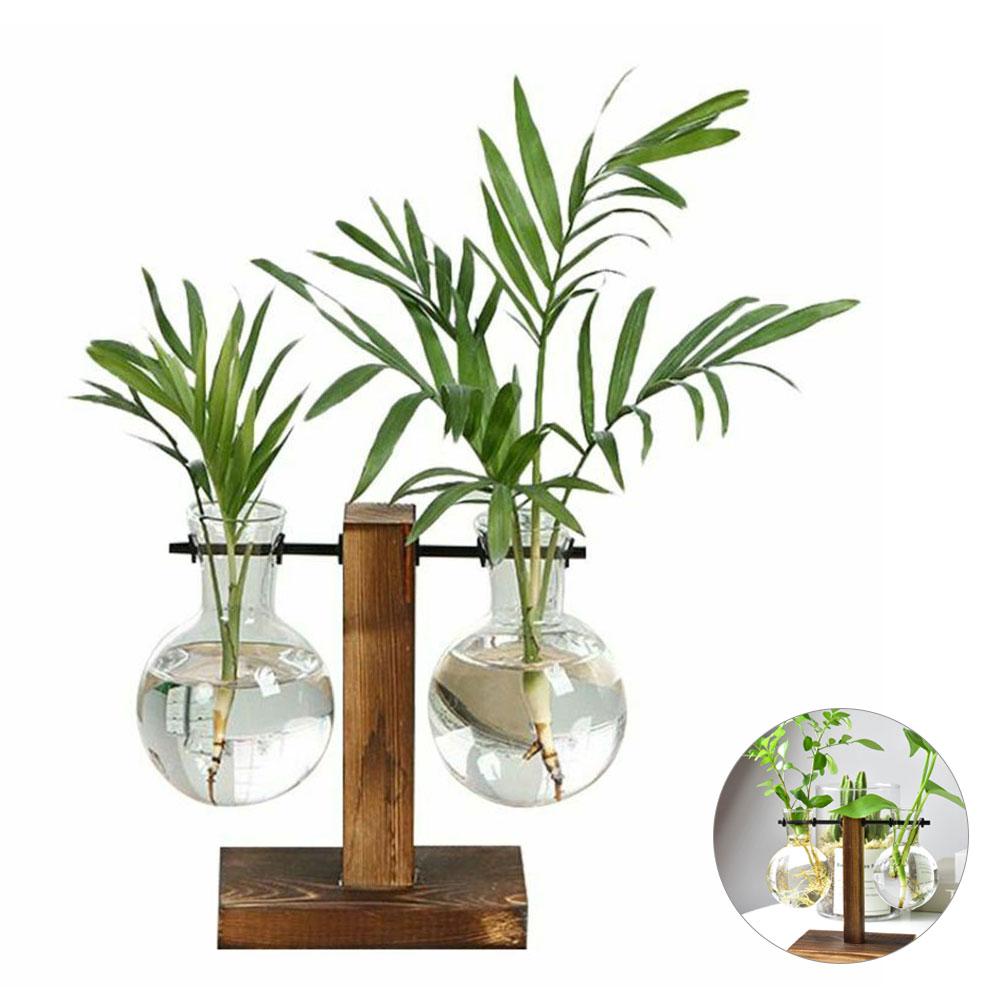 Hydroponic Plant Glass Vase, Modern Desktop Plant Terrarium Planter Bulb Water Planting Propagation Planters Hydroponics Plants