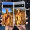 Telefon kapları – Smartphone Bumper Kılıflar