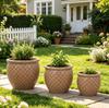 Handmade Ceramic Plant Pot Set, 3-Piece (diameter 38.5/30.5/23 cm), Glossy Beige with Coin Relief, Breathable, Frost-Resistant, with Drainage Holes