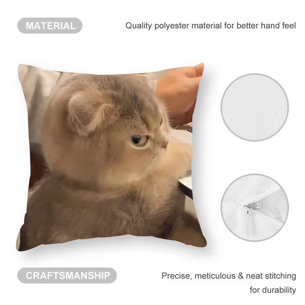Pet Cat Funny Memes Pillow Case Anti-dustmite Pillowcase Invisible Zipper Silky Short Plush Sofa Cushion Cover