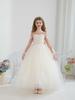 Girl's Mesh Evening Dress - Princess, Party, Flower Girl, Wedding, Birthday, Performance Costume