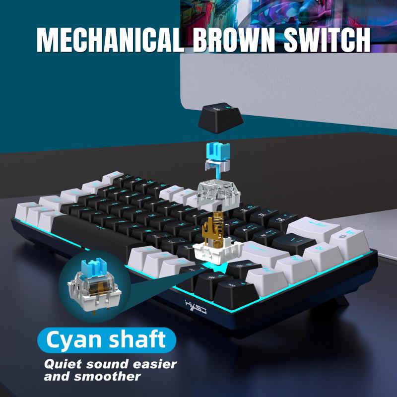 68-Key Wired Mechanical Gaming Keyboard - Hot-Swappable Blue Switches, Dual-Color Injection Keycaps, Ice Blue Backlight