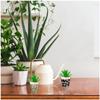 Les Trésors De Lily [A2077] - Black Beige 'Palm Trees' Bamboo Planter - 7x6 Cm