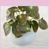 Plastic Plants Artificial For Home Decor Photography Props Decoration Wedding