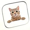 Confused Kitten Car Stickers for Auto Window Rear Windshield Fuel Tank Cap Rear Bumper Decoration Scratch Cover Vinyl  Decals