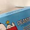 [USED] VCD SNOOPY w/ WOODSTOCK & Doghouse Non-Scale Figure
