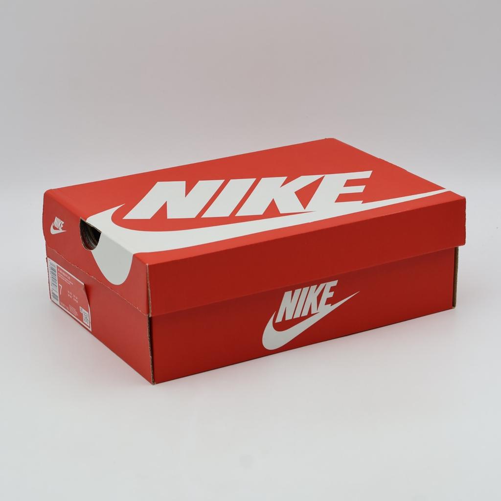 DZ3671-105 Nike Damen Air Max Plus Blau Weiß (Damen)