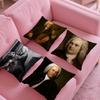 Classical Johann Sebastian Bach Pillow Case Silky Short Plush with Invisible Zipper Dustproof Sofa Cushion Cover for Home Decor