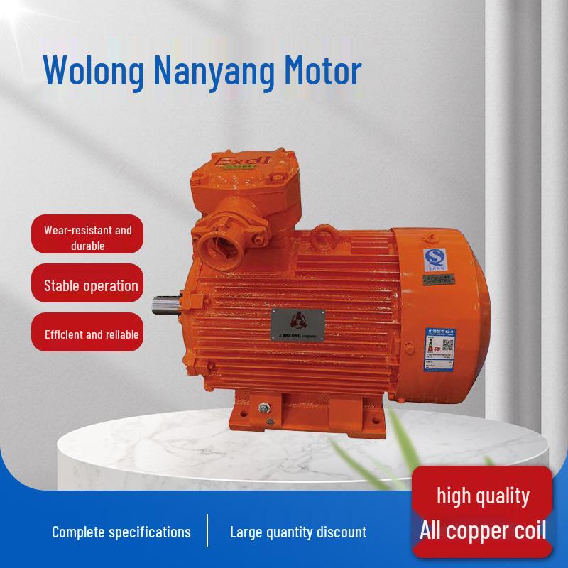 Wolong Nanyang Low-Voltage Explosion-Proof Three-Phase Motor for Underground Coal Mines