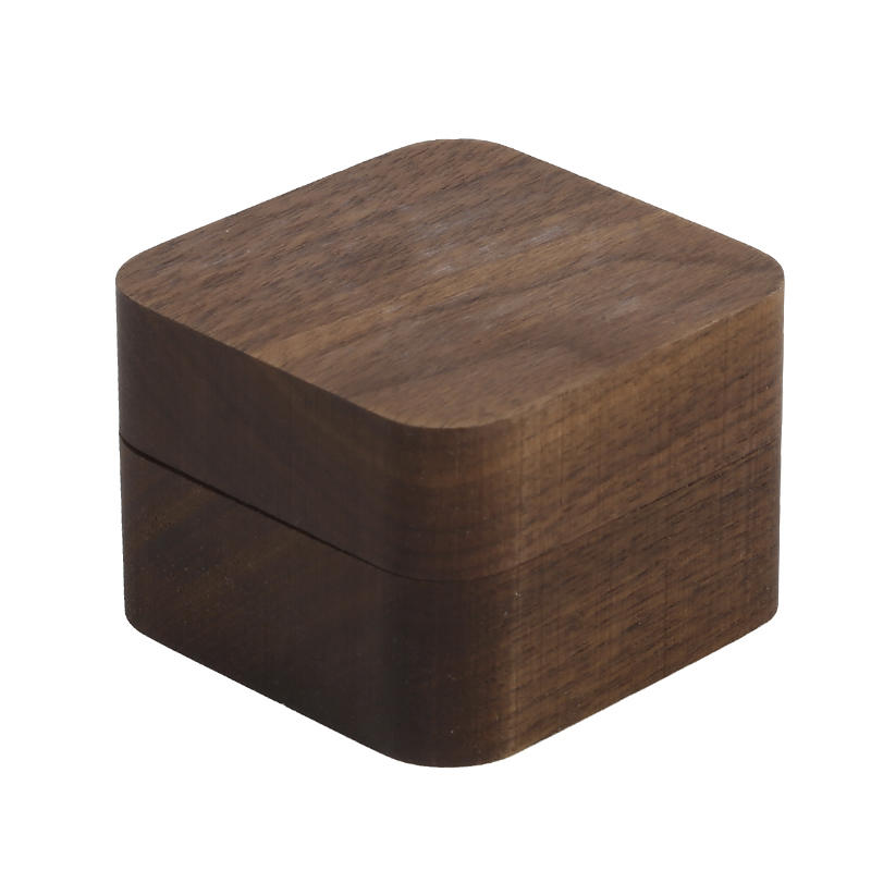 Rese smyckeskrin för ringar, örhängen och hängen Lättviktsförvaringsorganisatör med säker stängning Perfekt för resor och daglig smyckesskydd