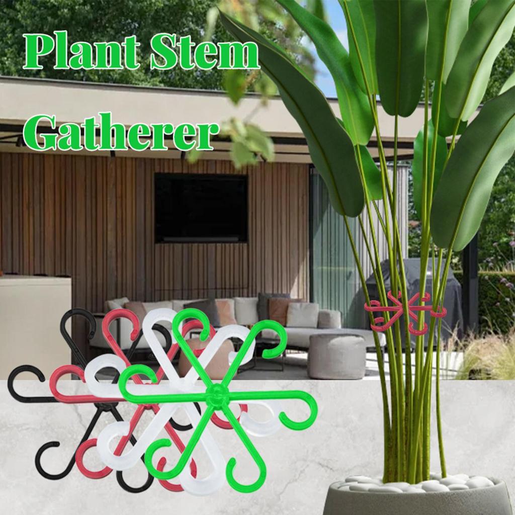 4Pc Plants Stem Support Climbing Houseplant Stand Plastic Trellis Easy Installation Vine Plants Trellis for Indoor Outdoor Plant
