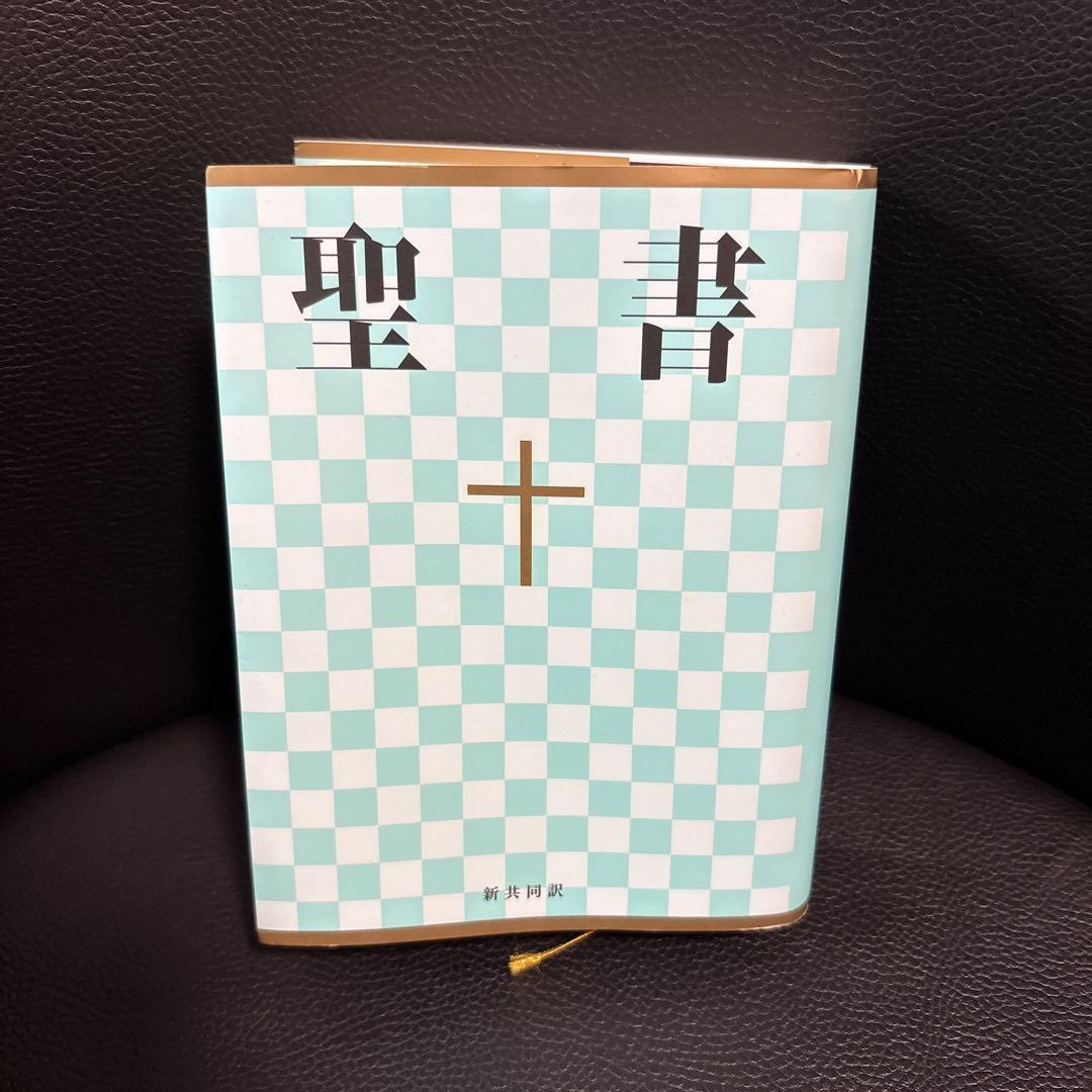 

[USED] Bible light blue checkered hard cover