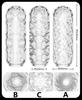 Male Masturbator Cup Soft Pussy Sex Toys Transparent Vagina Adult Endurance Exercise Adult supplies Vacuum Pocket Cup for Men