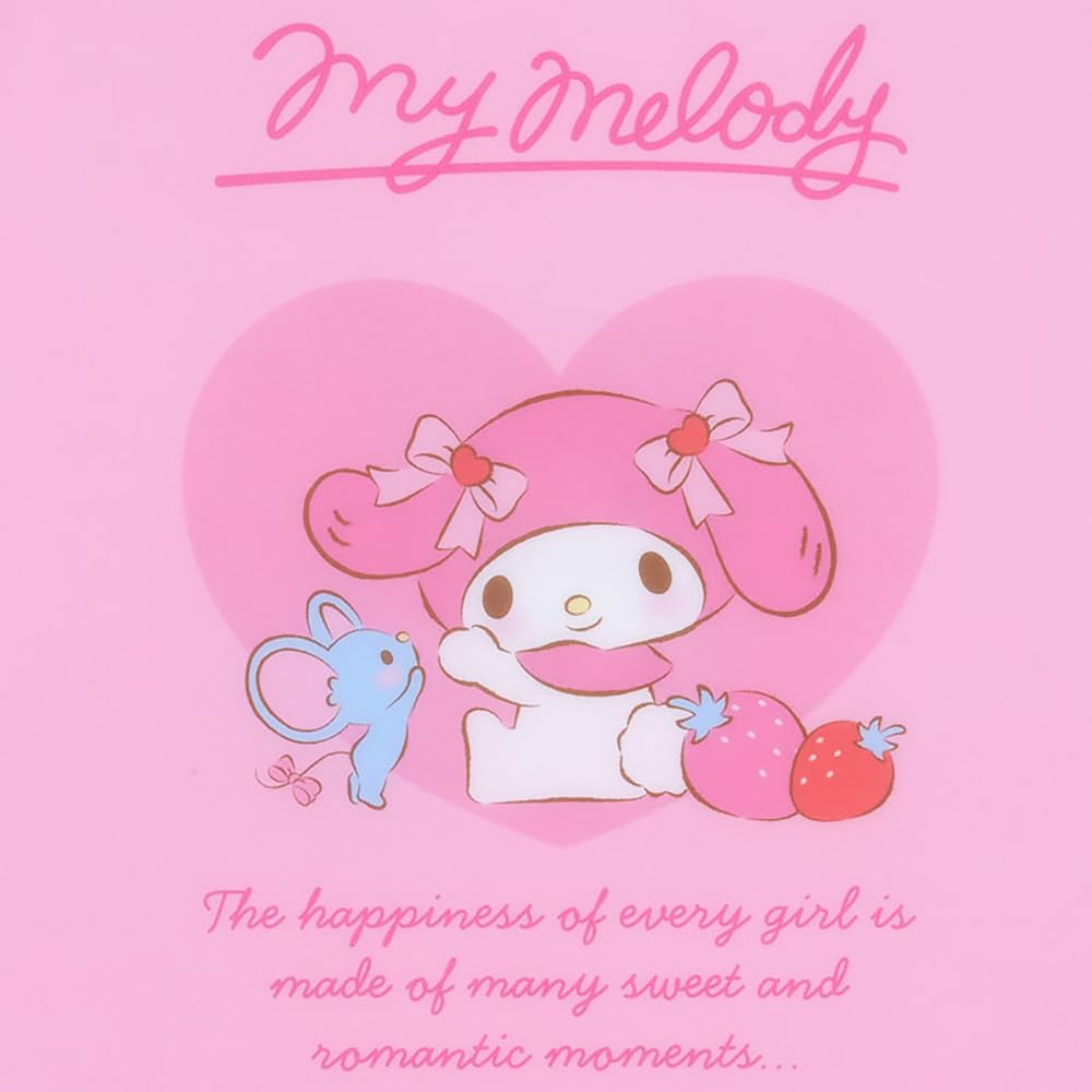 Sanrio My Melody Zippered Clear File 549622 6-Pocket