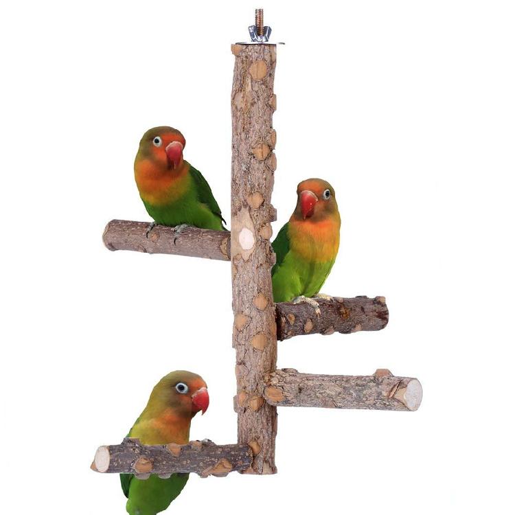 Bird Perch Set Natural Wood Stand Parakeet Toys Multi Branch Bird Cage Accessory