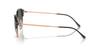Sunglasses RB4429 DARK GRAY ON ROSE GOLD 53 Ray-Ban