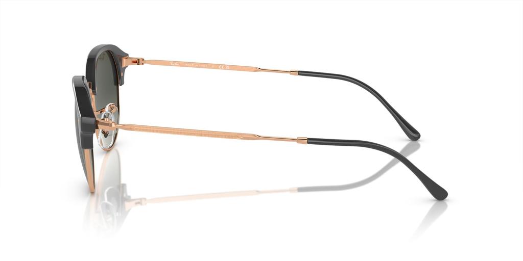 Sunglasses RB4429 DARK GRAY ON ROSE GOLD 53 Ray-Ban