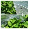Flower Protection Cover Garden Netting for Raised Bed, Fine Mesh Barrier Net Bird, Insect Bird & Pest, Heavy Duty Vegetable Fruit Plants