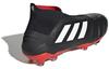 adidas Predator 19+ Fg '25th Anniversary' EE8417