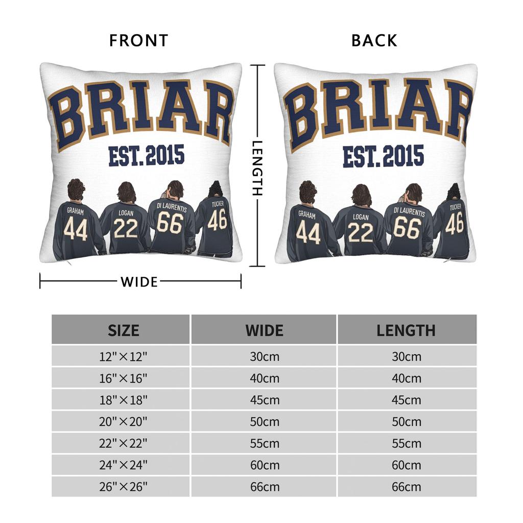 Campus Briar University Hockey Romance Pillow Cover Novelty Pillow Case For Sofa Bedroom Home Decor Cushion Cover Gift Idea