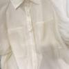 French Retro Puff Sleeve Chiffon Shirt for Women in Summer New Loose Short-sleeved Top