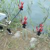 Universal Anti-shake Fishing Rod Holder with Self-locking Turret Bracket and Extended Ground Stake