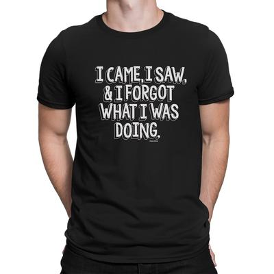 I Came I Saw I Forgot What I Was Doing Mens Funny Slogan  T-Shirt Novelty