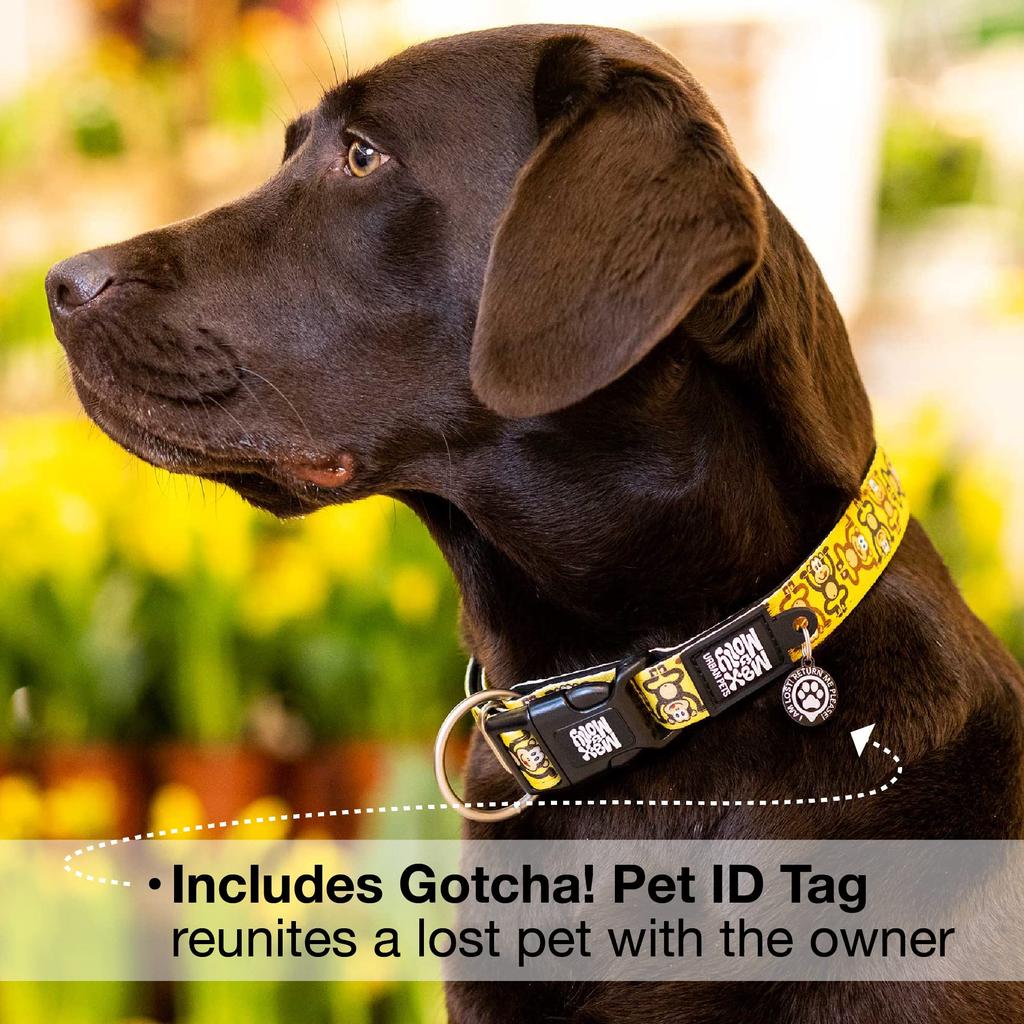 ROOKCRAN Max Molly Large Collared Monkey Dog Stylish and Ideal for Training Your 119719 & Collar, Cute, Pet,