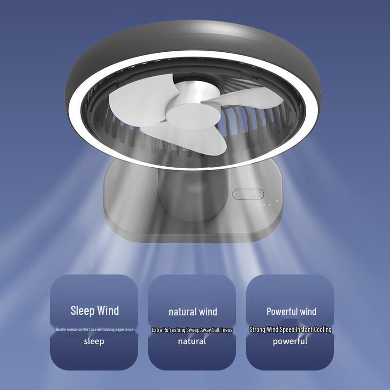 OEING Portable USB Desk Fan with Night Light & Fill Light