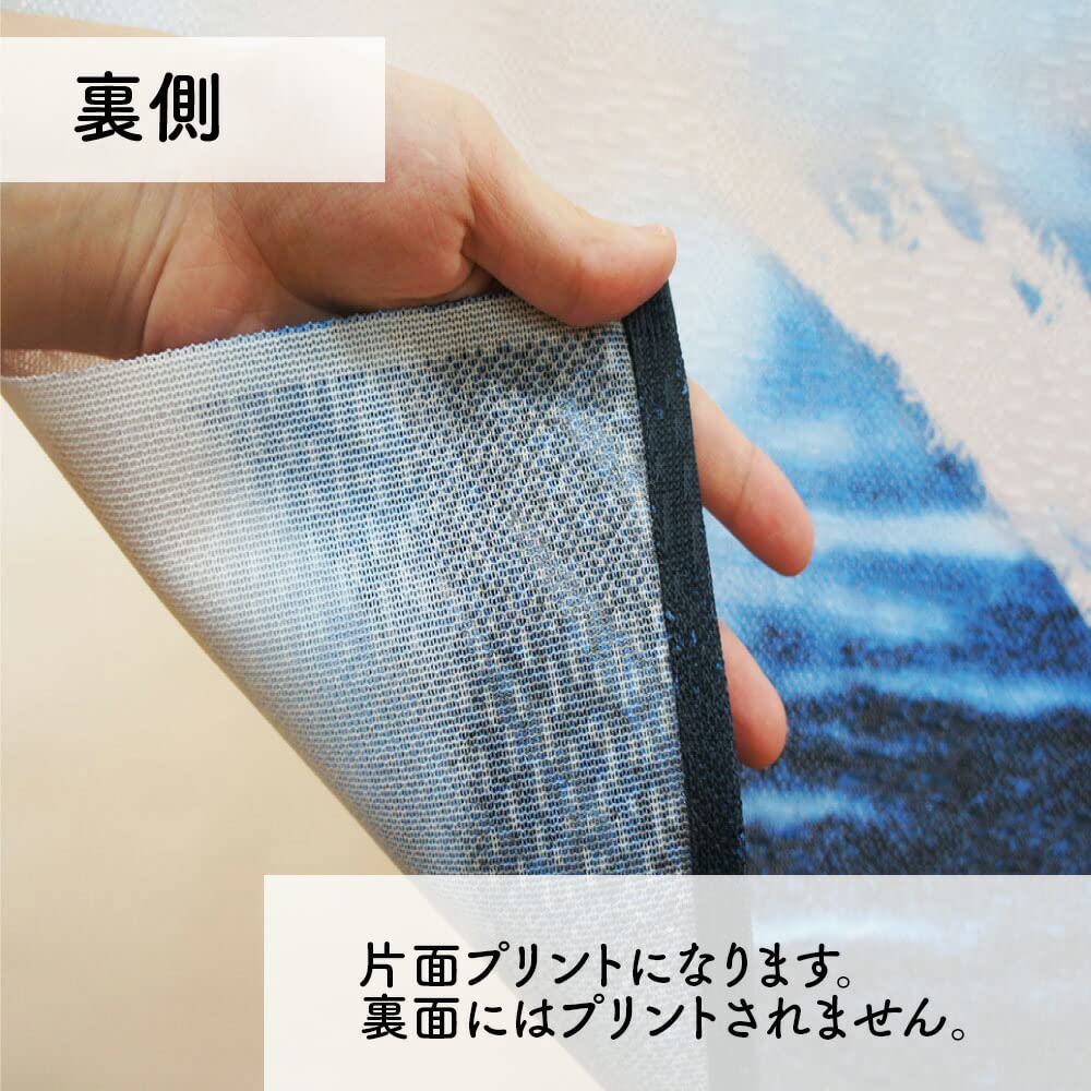 Noren Kobo Winter Room Traditional Japanese 85cm Wide x 150cm Four Seasons of 9274 Noren, Japanese-style Tapestry, Divider/Privacy Screen, Half-length