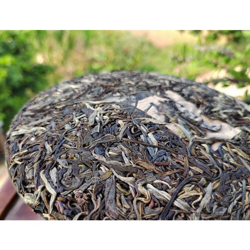 Scraping Walled Pu'er Teekuchen Yiwu Ancient Tree Raw Tea Erster Frühling Yunnan Tee