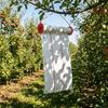 Hanging Fly Sticky Roller Waterproof Fly Roller Practical Fruit Fly Trap  Garden